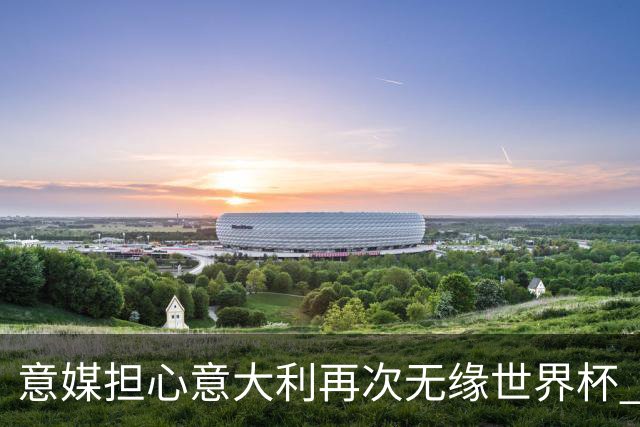 意媒担心意大利再次无缘世界杯 名帅批球队飘了